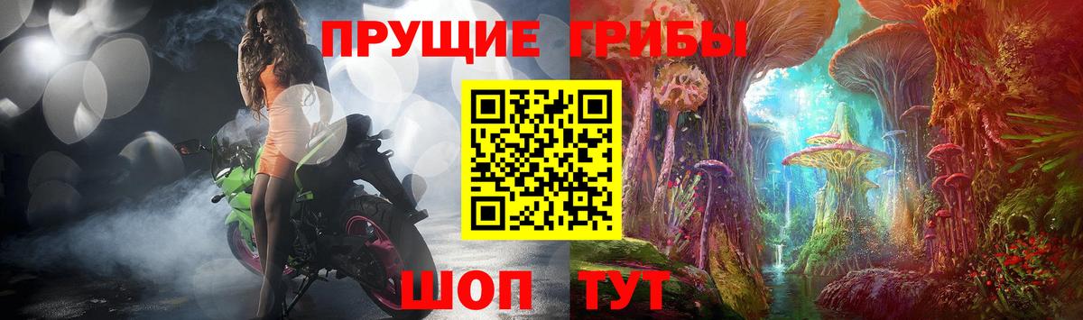 Бахчисарай  Галлюциногенные грибы мухоморы  Вход с VPN  Псилоцибиновые грибы мицелий 